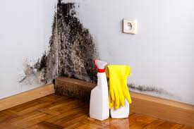 Leisure World, MD Mold Prevention & Removal  Company